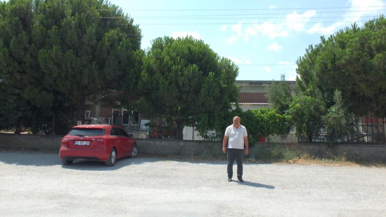 Burhaniye'de bir garip olay: "Ağaçları Kestirmedim, Elektriğim Kesildi"