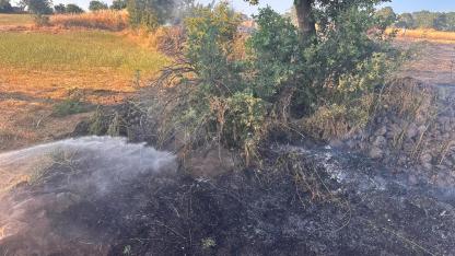 Sındırgı'da otluk alanda yangın