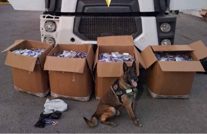 Balıkesir'de rekor uyuşturucu operasyonu: 235 bin hap ele geçirildi