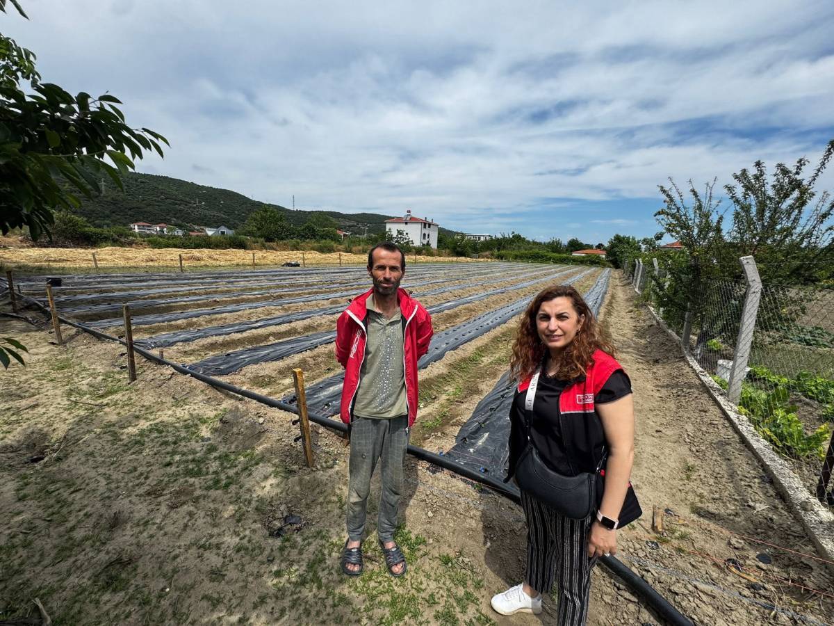 Erdek’te çilek üretimi yaygınlaşıyor
