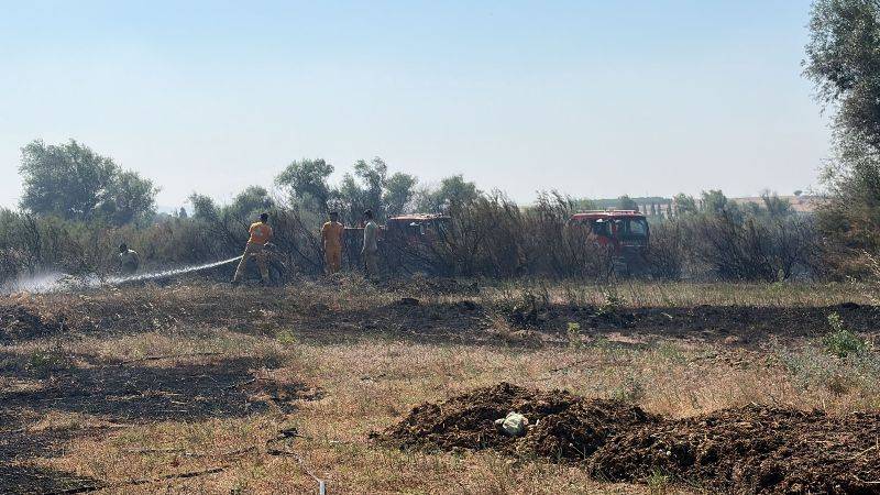 Kepsut'ta Arazi Yangını Korkuttu.. İtfaiye ve Orman Ekiplerinden Başarılı Müdahale