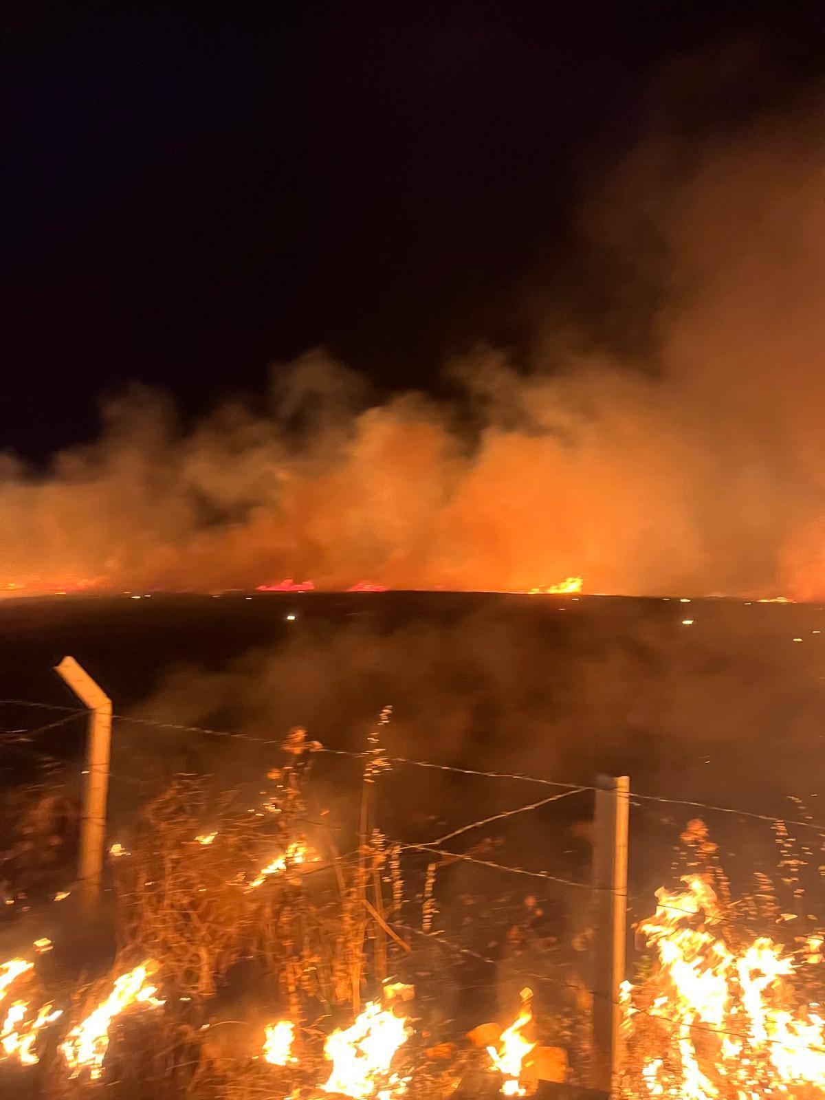 Burhaniye’de çıkan ot yangını korkuya neden oldu