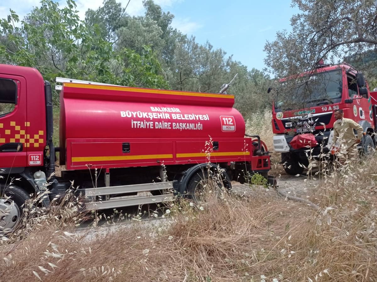 Havran ve İvrindi'de Arazi Yangınları Korkuttu