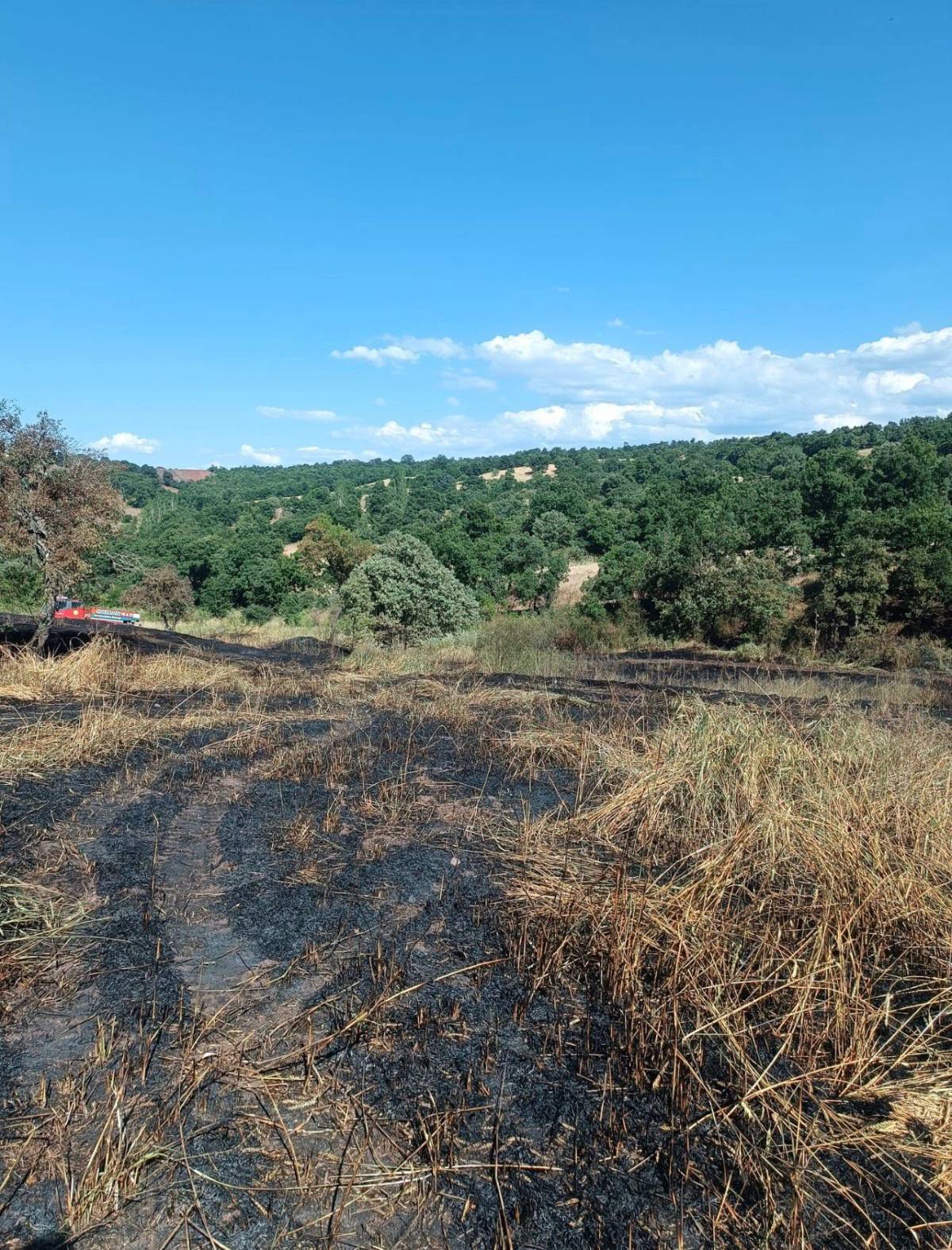 Dursunbey'de Arazi Yangını