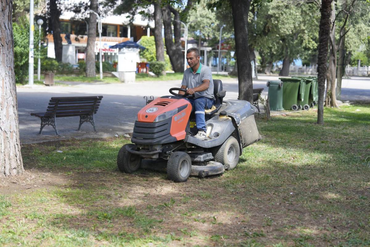 Park Ve Bahçeler Müdürlüğü'nden İlçe Genelinde Yoğun Çalışma