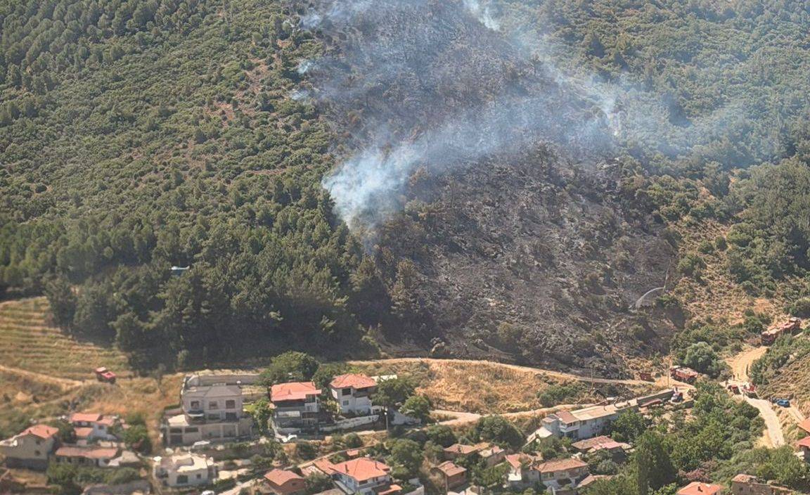 Yaz gelmeden alarm zilleri çalmaya başladı: Burhaniye'de orman yangını