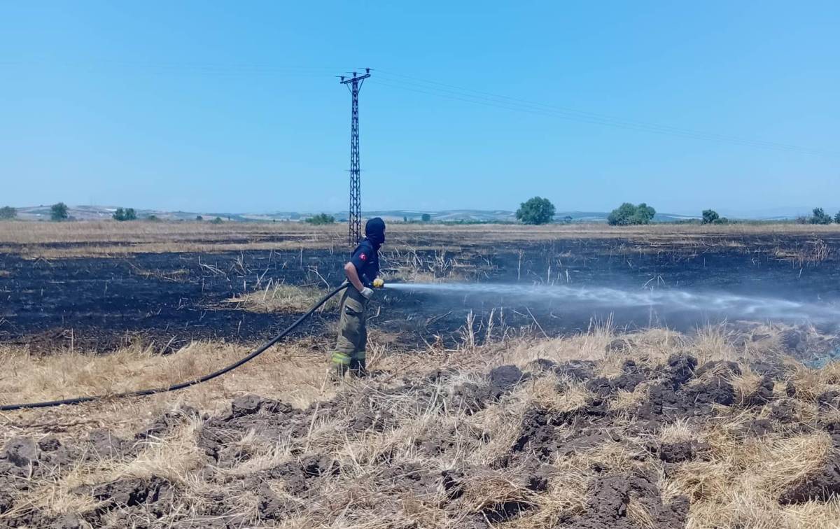 Susurluk'ta iki farklı noktada yangın