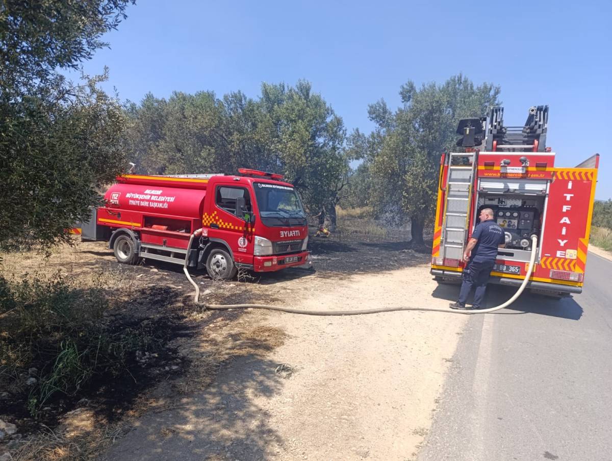 Havran'da zeytinlik alanda ot yangını