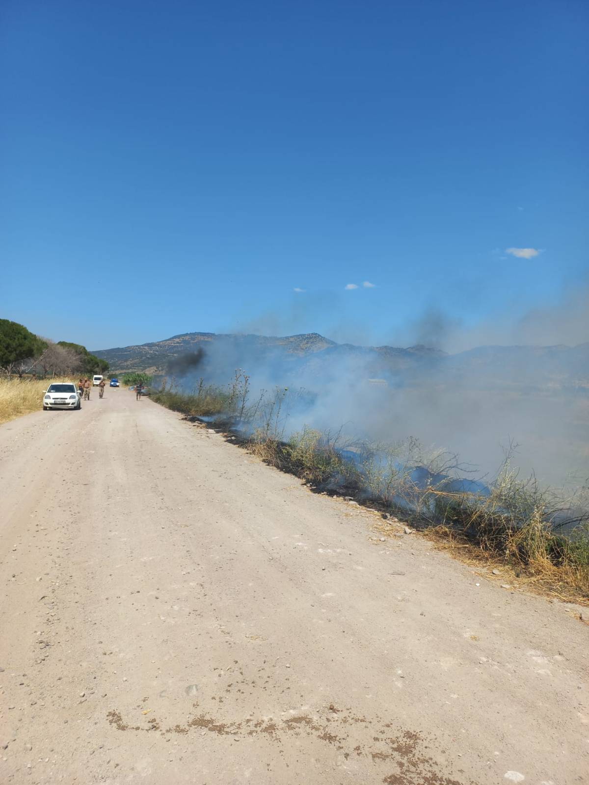 Ayvalık'ta Yine Çöplük Yangını