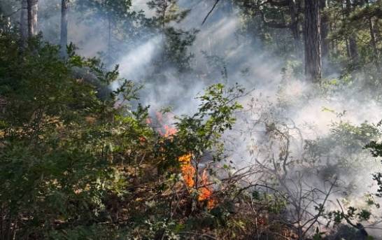 Balıkesir'de 5 yangına havadan ve karadan müdahale