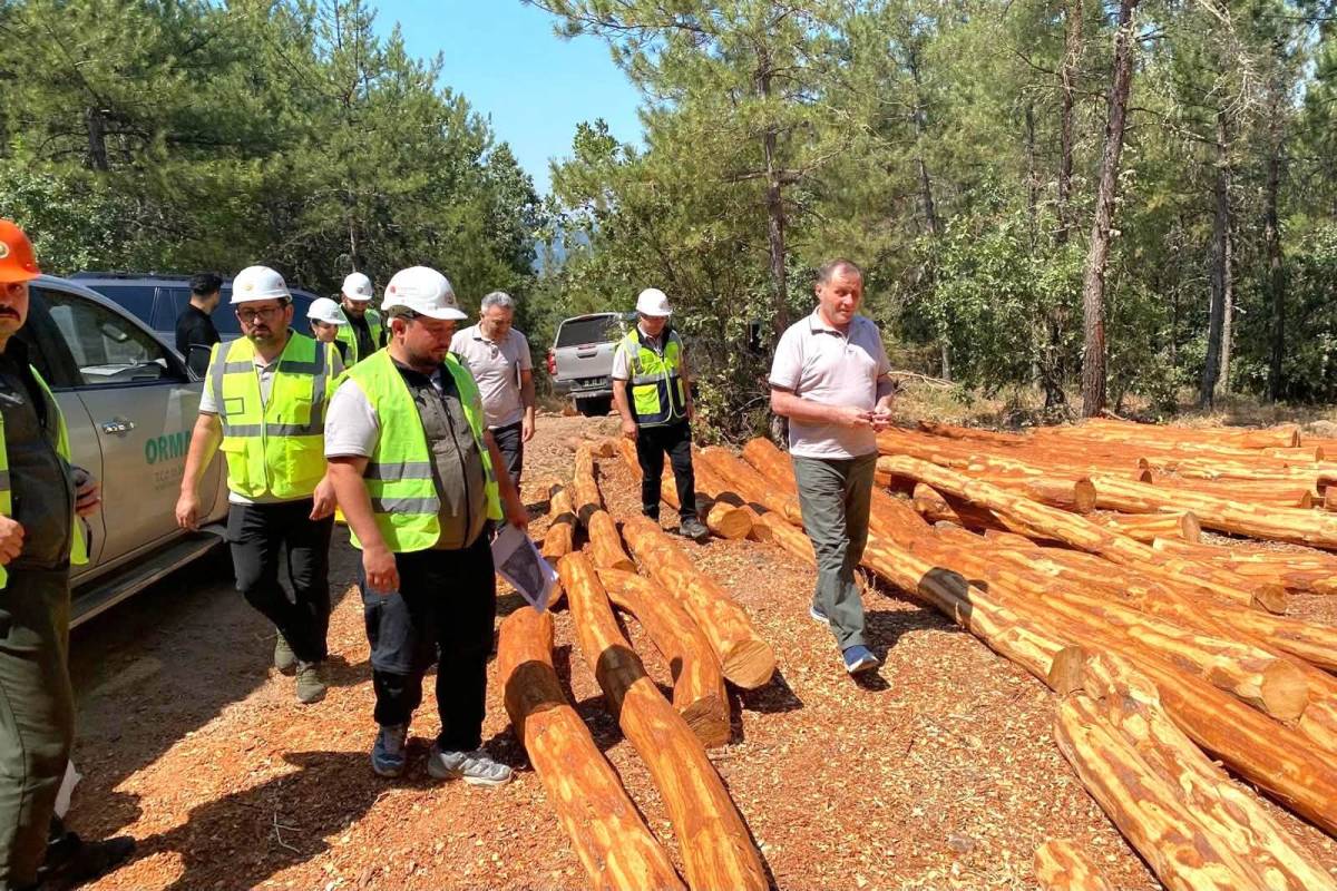 Dursunbey ormanlarında silvikültürel çalışmalar denetlendi
