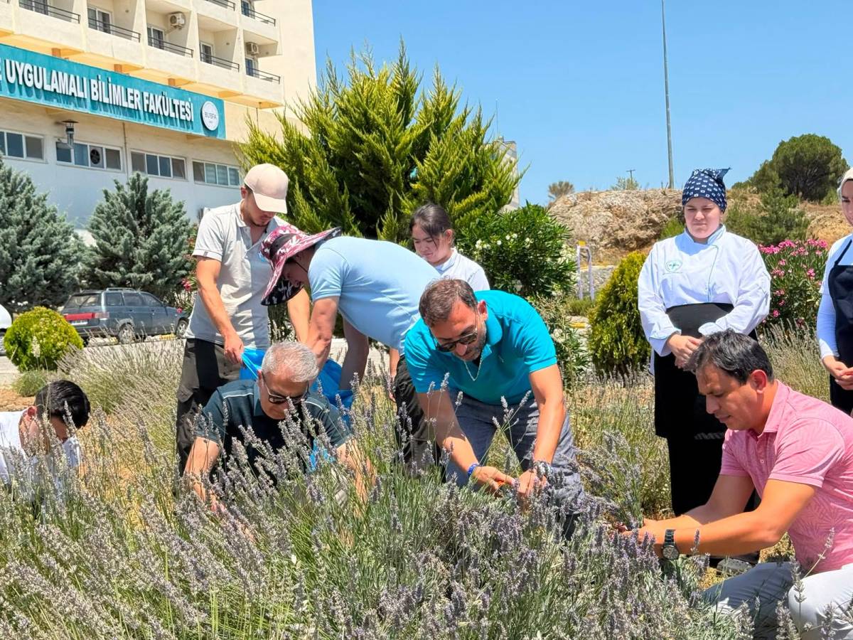 Burhaniye’de “Lavanta Kokulu Okul”da hasat heyecanı