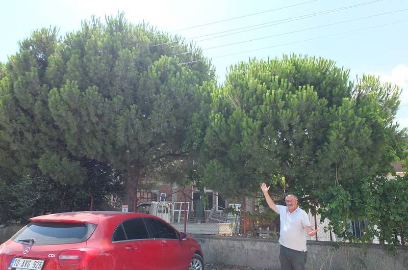 Burhaniye'de bir garip olay: