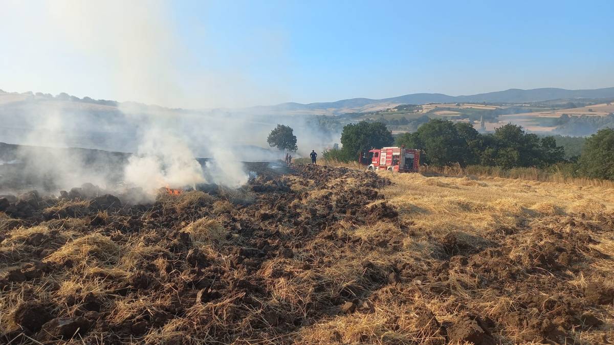 Bandırma'da buğday tarlası ve arazi yangını korkuttu