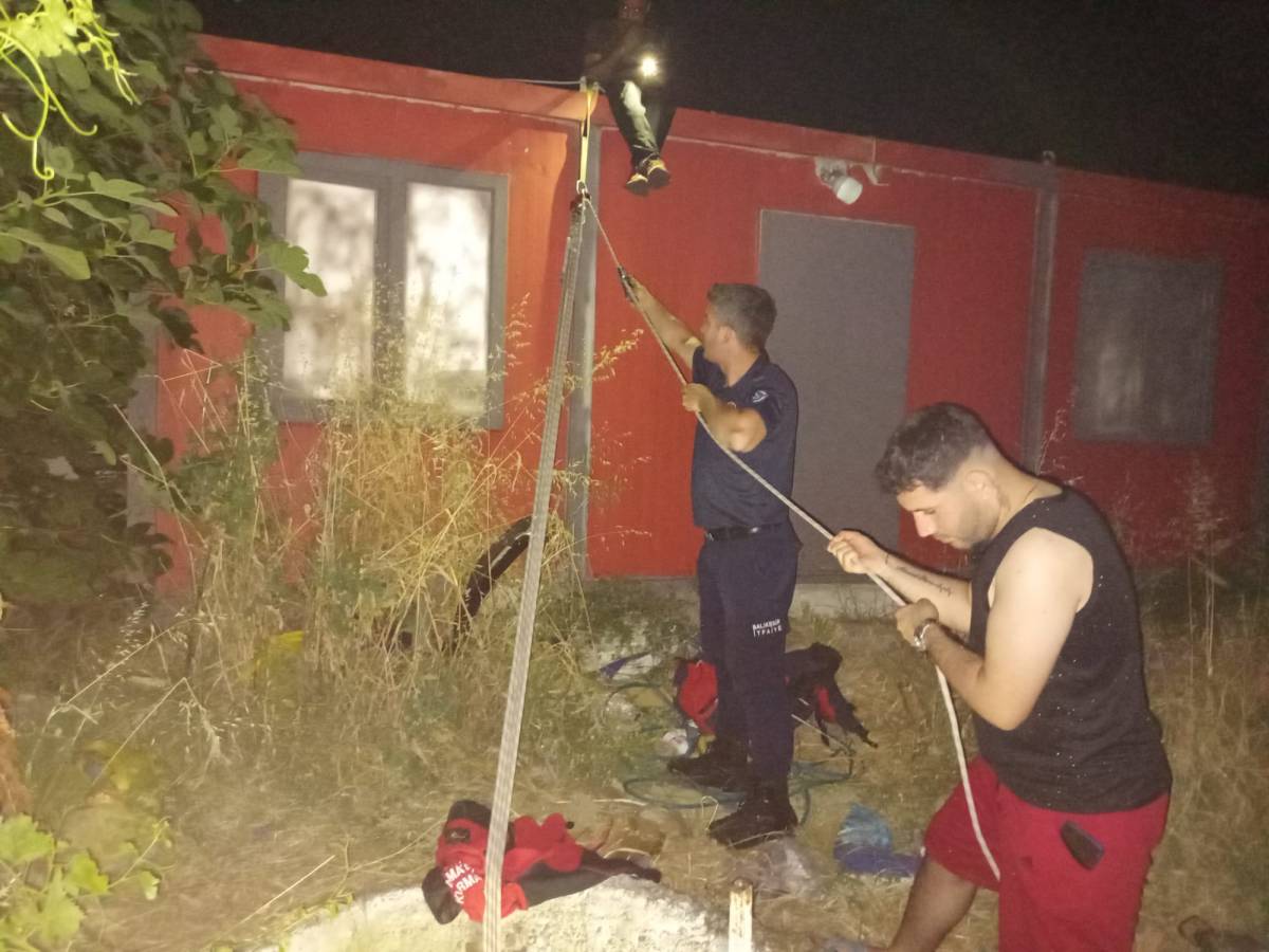 Altıeylül'de kuyuya düşen yavru kedi kurtarıldı