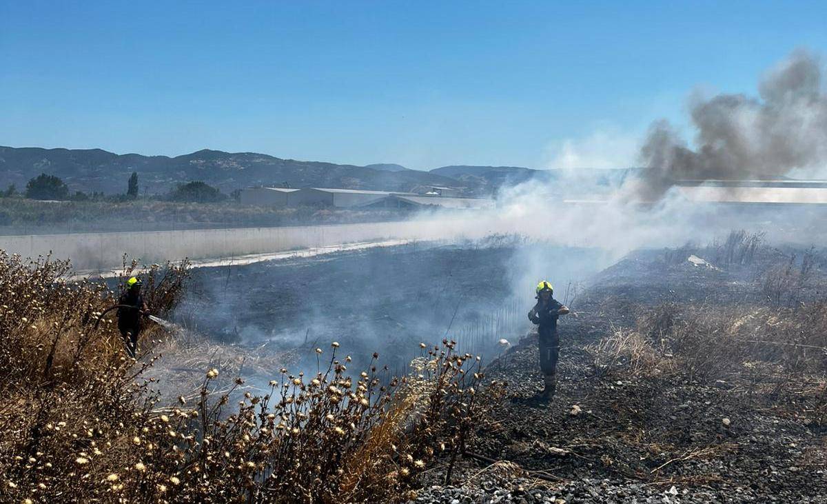 Burhaniye'de korkutan ot yangını