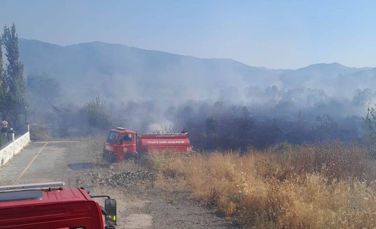 Edremit'te zeytinlik alan yangını: 106 ağaç zarar gördü