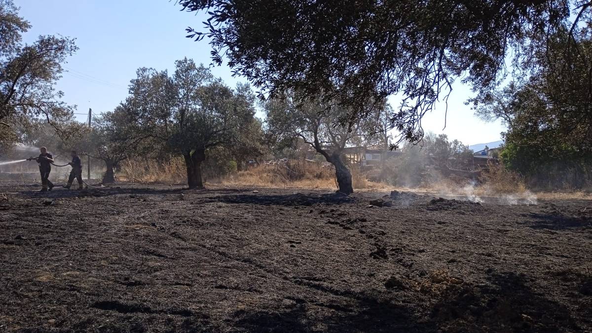 Balıkesir’de yangın mesaisi: 4 ilçede alevlere müdahale