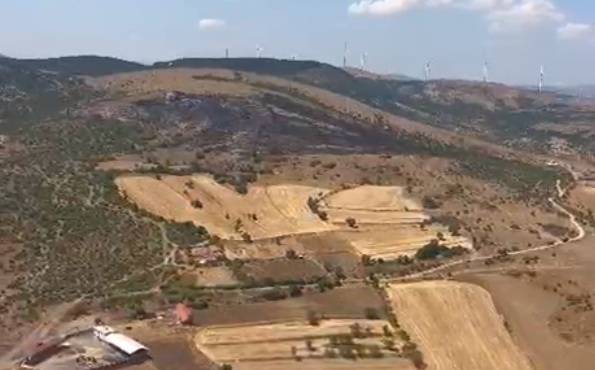 Altıeylül'de orman yangını kontrol altına alındı