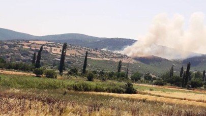 Balıkesir Kepsut'ta orman yangınına anında müdahale