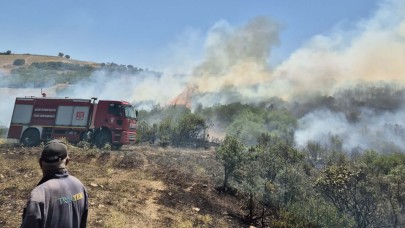 Bigadiç’te arazi yangını büyüdü