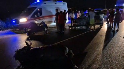 Burhaniye’de otomobil ters yönde gelen at arabasına çarptı: 2 yaralı