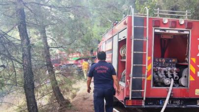 İvrindi Büyükyenice'de Orman Yangını